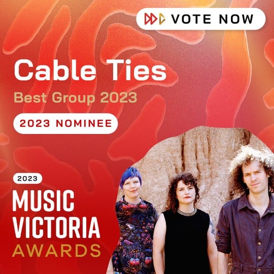 Best Group 2023 Nominee Cable Ties