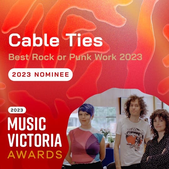 Best Rock or Punk Work 2023 Nominee Cable Ties